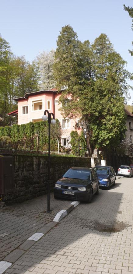 Готель Casa Rosa Беїле-Оленешті Екстер'єр фото