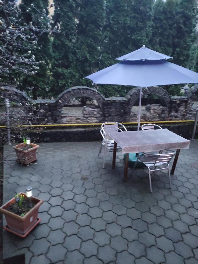 Готель Casa Rosa Беїле-Оленешті Екстер'єр фото